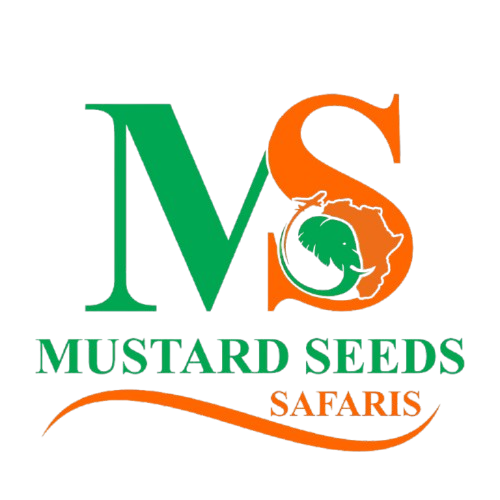 Mustard Seed Safaris