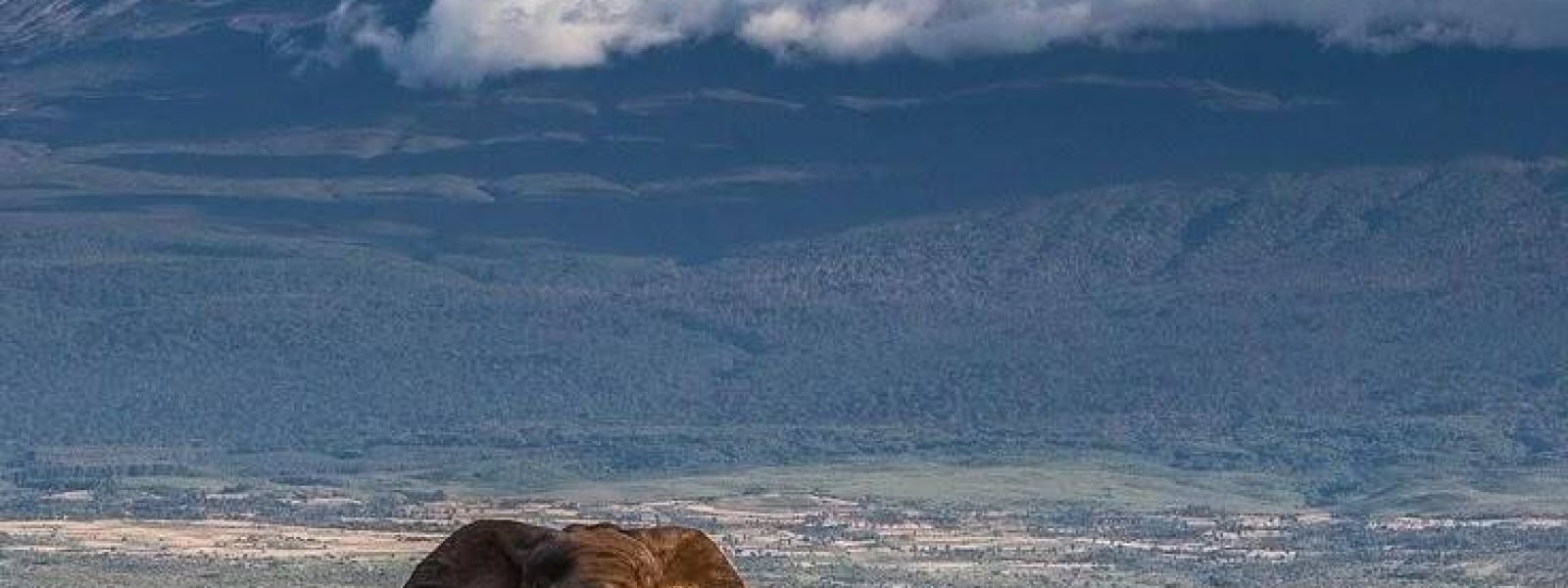 Amboseli National Park