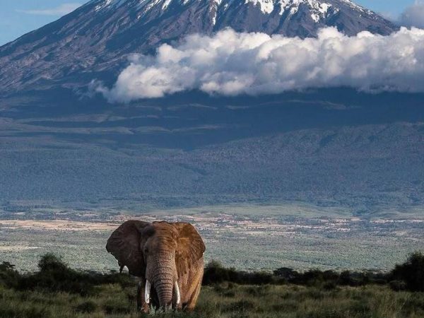 Amboseli National Park
