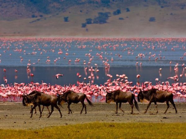 The “Big Three” Classic (7 Days)