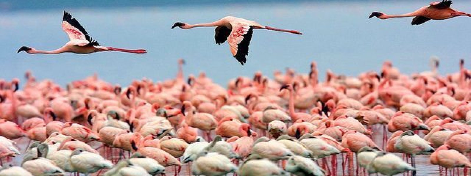 Lake Nakuru National Park